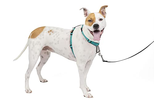 PetSafe 3 in 1 Dog Harness - No Pull Solution for Dogs - Reflective Dog Harness - Front D-Ring Clip Helps Stop Pulling - Comfortable Padded Straps - Top Handle Enhances Control - Teal - Medium