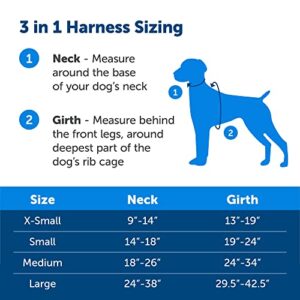 PetSafe 3 in 1 Dog Harness - No Pull Solution for Dogs - Reflective Dog Harness - Front D-Ring Clip Helps Stop Pulling - Comfortable Padded Straps - Top Handle Enhances Control - Teal - Medium