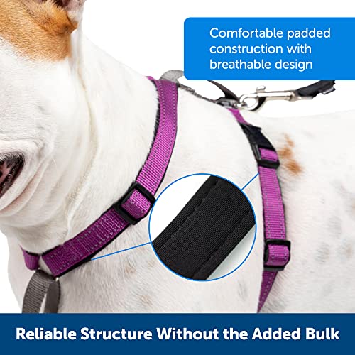 PetSafe 3 in 1 Dog Harness - No Pull Solution for Dogs - Reflective Dog Harness - Front D-Ring Clip Helps Stop Pulling - Comfortable Padded Straps - Top Handle Enhances Control - Teal - Medium