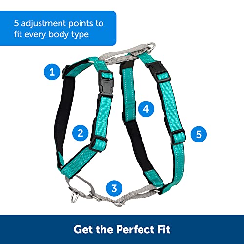 PetSafe 3 in 1 Dog Harness - No Pull Solution for Dogs - Reflective Dog Harness - Front D-Ring Clip Helps Stop Pulling - Comfortable Padded Straps - Top Handle Enhances Control - Teal - Medium