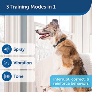 PetSafe Remote Spray Trainer, Dog Training Collar - 3 Modes: Tone, Vibration or Spray - Rechargeable & Water-Resistant – Includes Citronella & Unscented Spray Refills - 300 Yards (900 Feet) Range,Navy