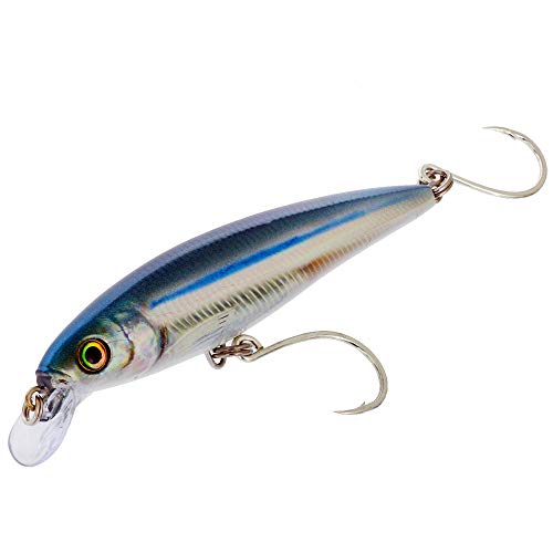 X-Rap Long Cast 14 Anchovy