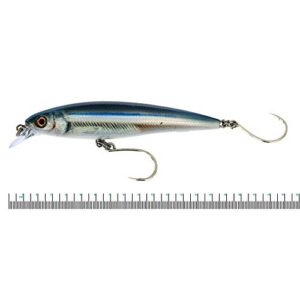 X-Rap Long Cast 14 Anchovy