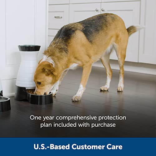 PetSafe Healthy Pet Food Station - Medium, 4 lb Kibble Capacity - Automatic Cat & Dog Feeder - Removable Stainless Steel Bowl Resists Corrosion & Stands Up to Frequent Use - Easy to Fill & Clean