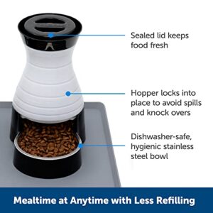 PetSafe Healthy Pet Food Station - Medium, 4 lb Kibble Capacity - Automatic Cat & Dog Feeder - Removable Stainless Steel Bowl Resists Corrosion & Stands Up to Frequent Use - Easy to Fill & Clean