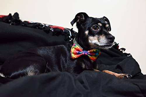 H&K Bow Tie for Pets | Woodstock (Small) | Velcro Bow Tie Collar Attachment | Fun Bow Ties for Dogs & Cats | Cute, Comfortable, and Durable | Huxley & Kent Bow Tie