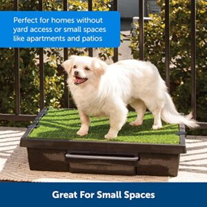 PetSafe Pet Loo Portable Dog Potty, Alternative to Puppy Pads, Large