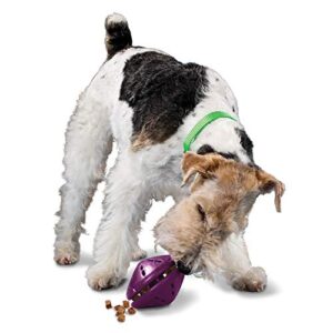 petsafe busy buddy twist ‘n treat dispensing dog toy – medium,purple,large breeds