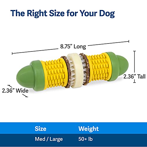 PetSafe Busy Buddy Cravin’ Corncob Dog – Treat Ring Holding Chew Toy – BPA Free Rubber – Butter Scented – Interactive Pet Puzzle for Boredom or Separation Anxiety – Small to Large Dogs