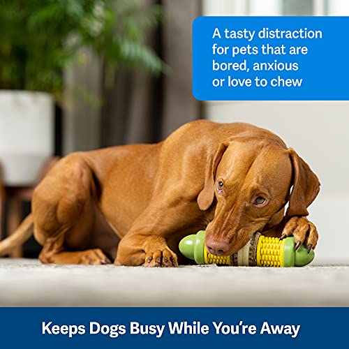 PetSafe Busy Buddy Cravin’ Corncob Dog – Treat Ring Holding Chew Toy – BPA Free Rubber – Butter Scented – Interactive Pet Puzzle for Boredom or Separation Anxiety – Small to Large Dogs