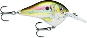 rapala dives-to 06 live river shad lure multi