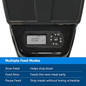 Healthy Pet Simply Feed - PetSafe Automatic Feeder - Headquartered in Knoxville, TN - Automatic Dog Feeder from the Engineers of the Smart Feed & Dancing Dot - 1-Year Comprehensive Protection Plan