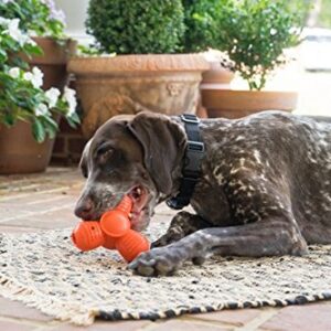 PetSafe Large Sportsmen Squeak 'N' Treat Troog Pet Chew Toy