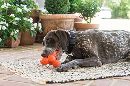 PetSafe Large Sportsmen Squeak 'N' Treat Troog Pet Chew Toy