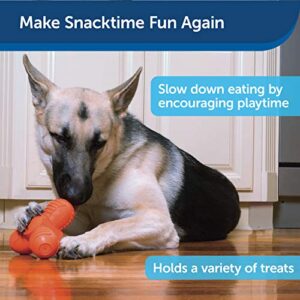 PetSafe Large Sportsmen Squeak 'N' Treat Troog Pet Chew Toy