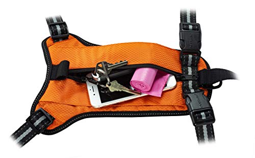 PetSafe Walk-Along Outdoor Dog Harness, No-Pull Solution, Water-Resistant, Zippered Pouch for Storage, Built-in Car Restraint, Medium