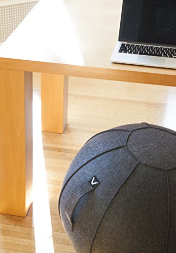 Vivora Luno Exercise Ball Chair, Canvas & Felt for Home Offices, Balance Training, Yoga Ball