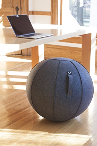 Vivora Luno Exercise Ball Chair, Canvas & Felt for Home Offices, Balance Training, Yoga Ball