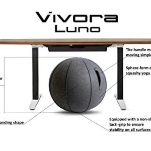 Vivora Luno Exercise Ball Chair, Canvas & Felt for Home Offices, Balance Training, Yoga Ball