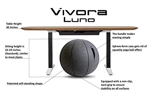 Vivora Luno Exercise Ball Chair, Canvas & Felt for Home Offices, Balance Training, Yoga Ball