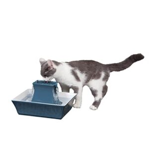 drinkwell pagoda pet fountain – from petsafe in knoxville, tn – dog water bowl dispenser – multiple angles to drink from – filters included – dog fountain provides water when power’s out – blue