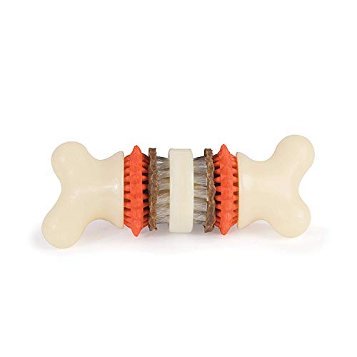 PetSafe 2 Pack of Sportsmen Bristle Bones, Medium, Dental Chew Toys for Dogs