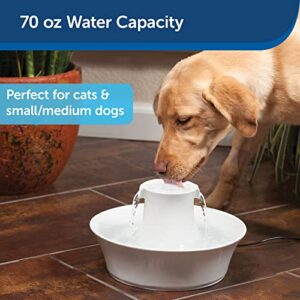 PetSafe Drinkwell Avalon Cat Water Fountain - Ceramic Water Fountain for Pets - Drinking Water Dispenser for Cats and Dogs - Fresh, Flowing 70 oz. Water Capacity - Filters Included
