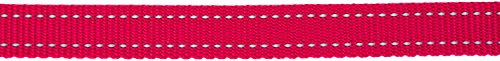 PetSafe Sport Leash, Durable Nylon Leash with Unique Padded Hand Wrap Handle to Help Keep Hands Free for Running or Walking, for Dogs up to 75 lb., Red