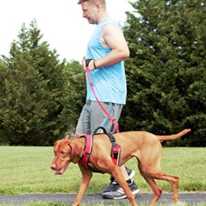 PetSafe Sport Leash, Durable Nylon Leash with Unique Padded Hand Wrap Handle to Help Keep Hands Free for Running or Walking, for Dogs up to 75 lb., Red