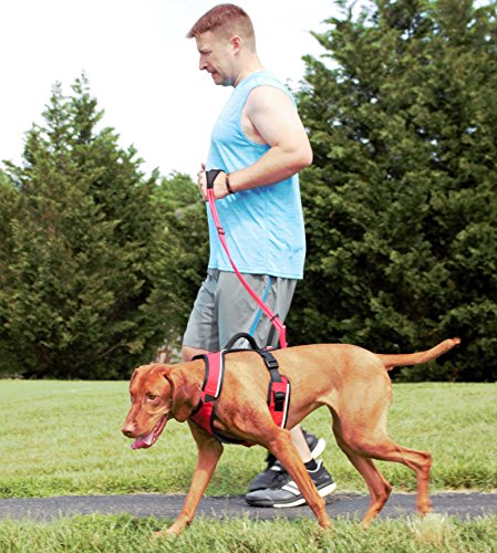 PetSafe Sport Leash, Durable Nylon Leash with Unique Padded Hand Wrap Handle to Help Keep Hands Free for Running or Walking, for Dogs up to 75 lb., Red