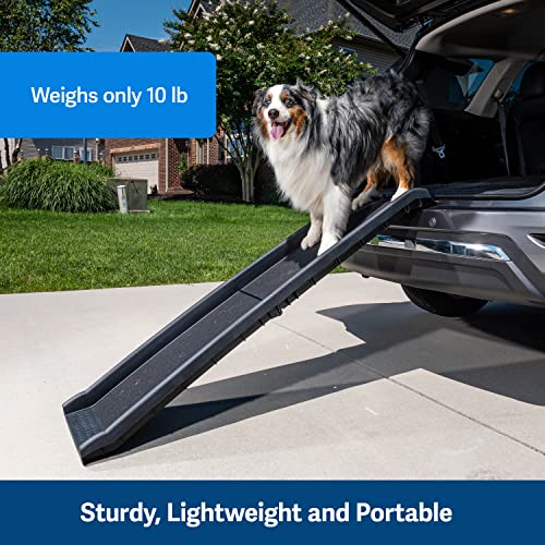 PetSafe Happy Ride Folding Dog Ramp for Cars, Trucks, & SUVs - 62 Inch Portable Pet Ramp for Large Dogs with Siderails, Non-Slip - Weighs Only 10 lb, Supports up to 150 lb, Easy Storage, Folds in Half