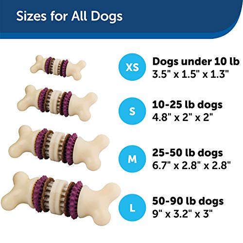 PetSafe Busy Buddy Bristle Bone - Treat-Holding Toy for Dogs - Treat Rings Included - Treats Thoroughly Mixed During Bake to Prevent Choking - Rigorously Tested Ingredients - Purple, Medium