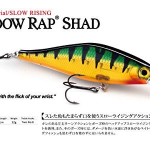 Rapala SDRS09 Shadow Rap Shad Lure (3.5-Inch, 0.3oz, Molten Copper)