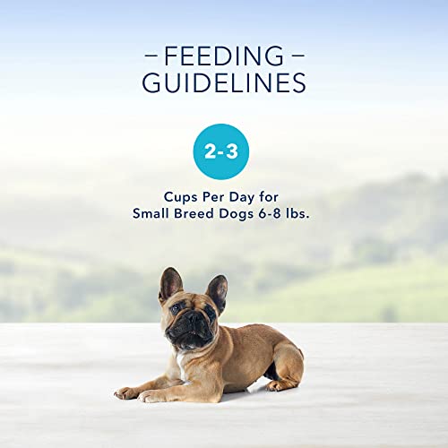 Blue Buffalo Delights Natural Adult Small Breed Wet Dog Food Cup, Prime Rib Flavor in Hearty Gravy 3.5-oz (Pack of 12)