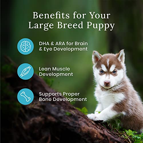 Blue Buffalo Wilderness High Protein Natural Large Breed Puppy Dry Dog Food Plus Wholesome Grains, Chicken 28 lb Bag