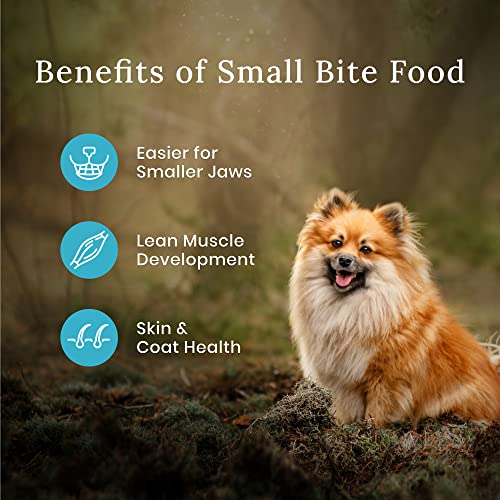 Blue Buffalo Wilderness High Protein Natural Small Breed Adult Dry Dog Food Plus Wholesome Grains, Chicken 28 lb Bag