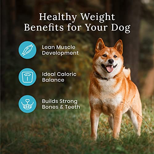 Blue Buffalo Wilderness Rocky Mountain Recipe High Protein Healthy Weight Natural Adult Dry Dog Food, Red Meat with Grain 28 lb Bag