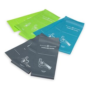 gaiam restore resistance band strength & flexibility kit with self-guided exercise illustrations printed on bands