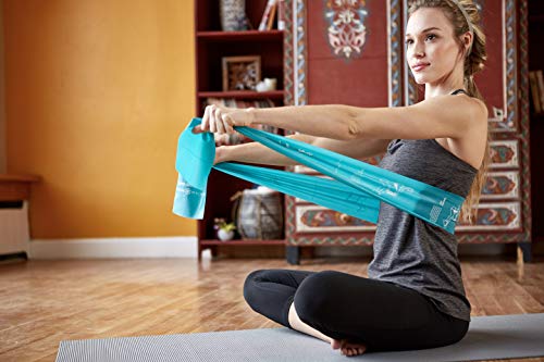 Gaiam Restore Resistance Band Strength & Flexibility Kit with Self-Guided Exercise Illustrations Printed on Bands