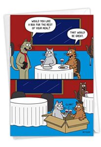 nobleworks – funny anniversary card with envelope – cartoon marriage humor, spouse notecard for anniversary – cat box c7005ang