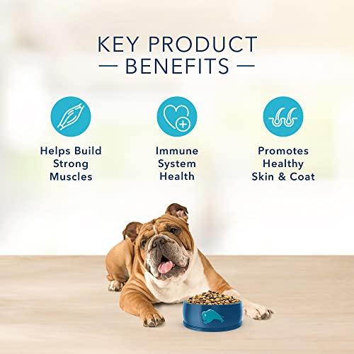 Blue Buffalo Basics Skin & Stomach Care, Grain Free Natural Adult Dry Dog Food, Turkey & Potato 24-lb