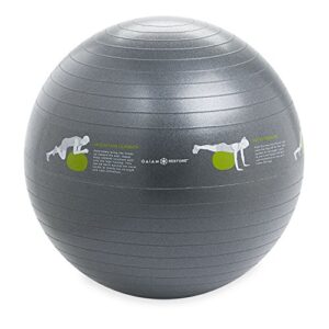 gaiam restore self-guided stability ball, 65cm