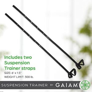 Gaiam Suspension Trainer System for All Fitness Levels - Increase Strength and Build Endurance - Four-Point Anchoring System with 2" W Nylon Straps - Attaches to Any Door - Exercise Guide Included