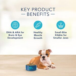 Blue Buffalo Basics Skin & Stomach Care, Natural Puppy Dry Dog Food, Turkey & Potato 24-lb