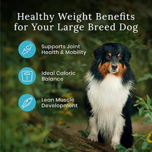 Blue Buffalo Wilderness High Protein Natural Large Breed Healthy Weight Adult Dry Dog Food Plus Wholesome Grains, Chicken 28 lb Bag