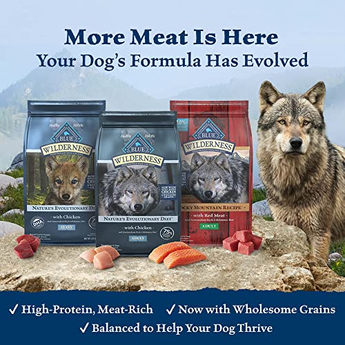 Blue Buffalo Wilderness High Protein Natural Large Breed Healthy Weight Adult Dry Dog Food Plus Wholesome Grains, Chicken 28 lb Bag