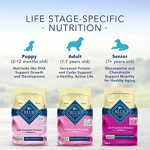 Blue Buffalo Life Protection Formula Natural Adult Toy Breed Dry Dog Food, Chicken and Brown Rice 4-lb