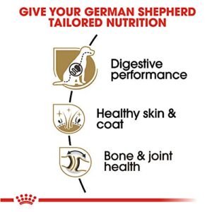 Royal Canin German Shepherd Adult Dry Dog Food, 30 lb bag