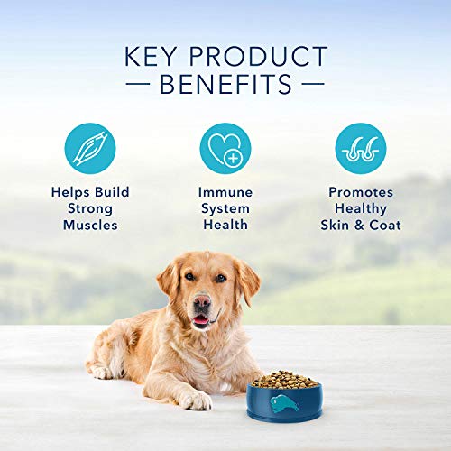 Blue Buffalo Life Protection Formula Natural Adult Dry Dog Food, Chicken & Brown Rice (38 Lbs.), 38 Lb