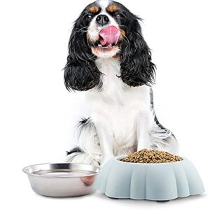 FUUIE Bowls for Food and Water Household Double-Layer Stainless Steel Pet Bowl, Suitable for Cats and Dogs, Strong and Simple to Clean (Color : Blue)